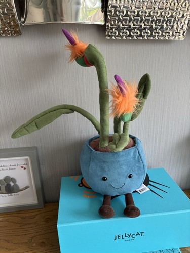 Jellycat amuseables - jellycat,
